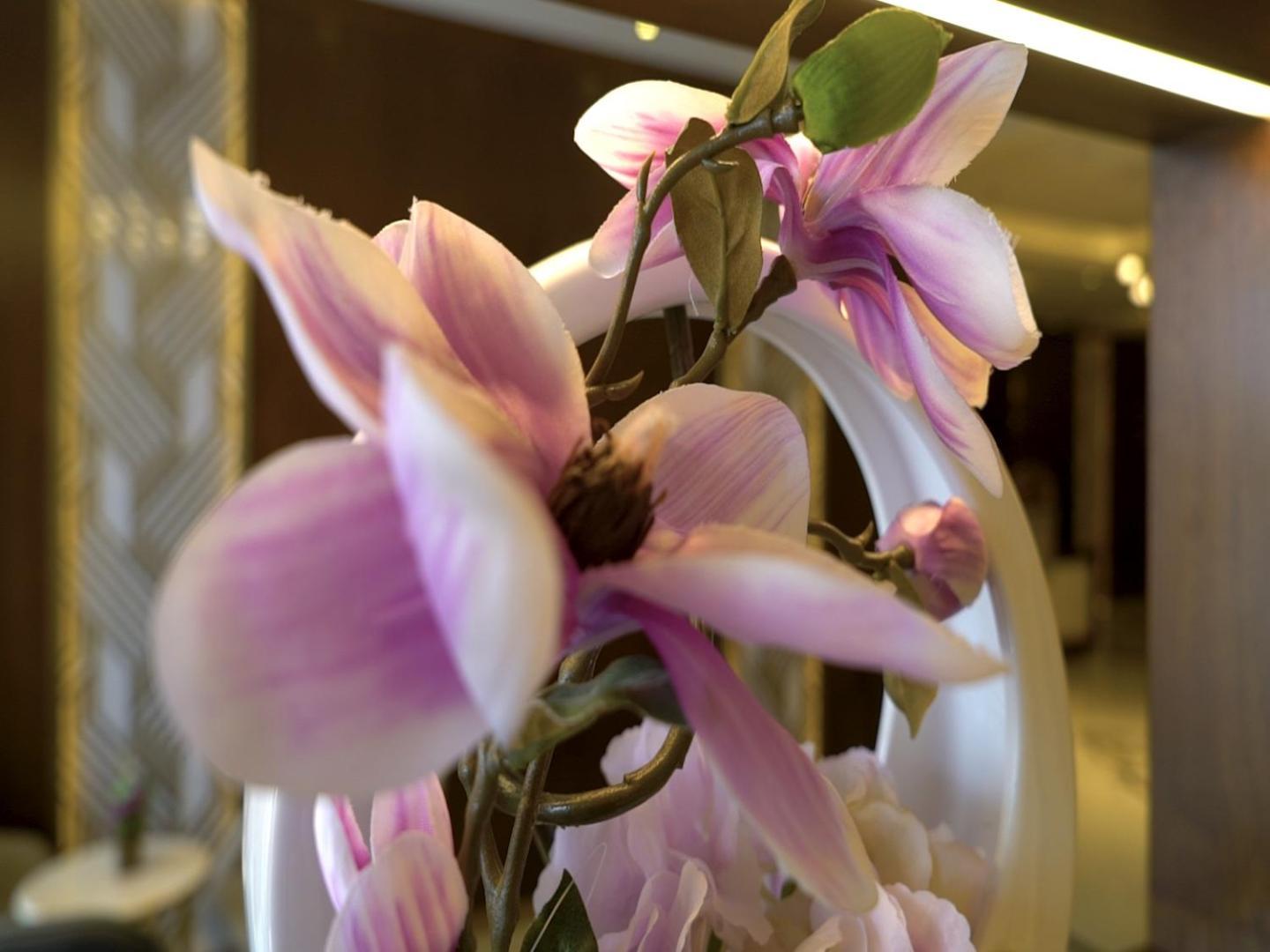 Appart hôtel Violet Rose Aprit *